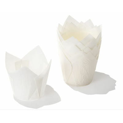 Papilotki tulipan białe 50 szt.