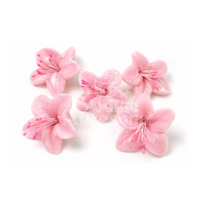 Kwiat gwiezdny pył różowy śr. 4 cm 5szt